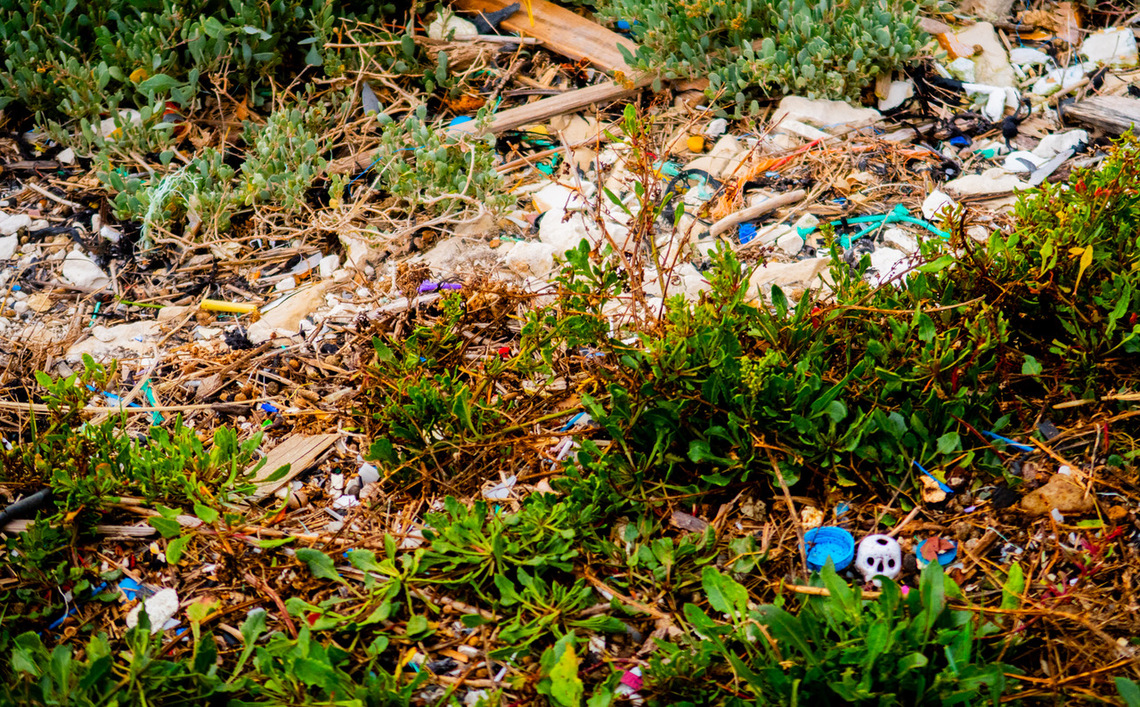 Skull - Plastics along river by Colin Miller